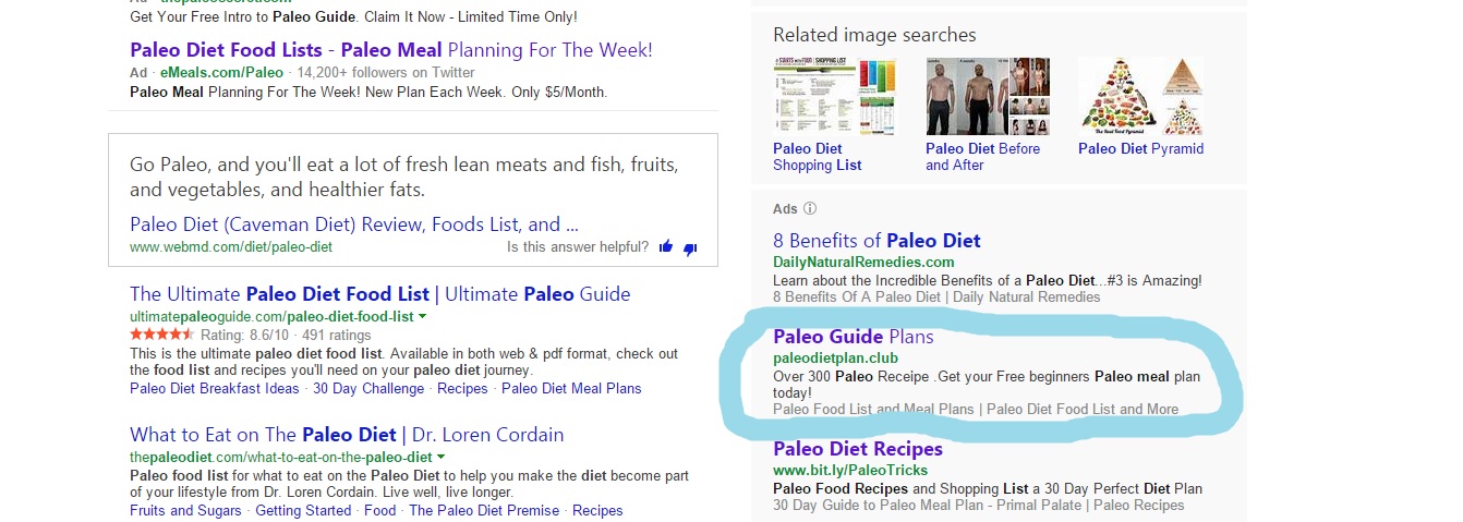 Bing PPC Ads Search for Paleo Diet Food List