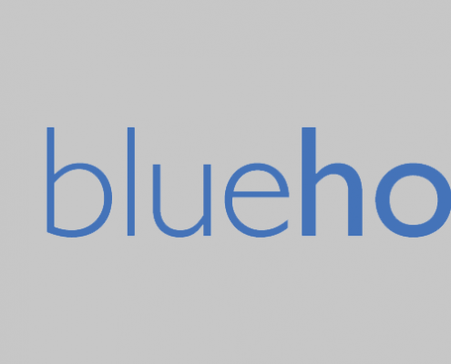 Bluehost 40 Percent Discount - Fast And Professional Website Hosting Services