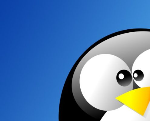 The New Penguin 4.0 Is Here - Everything You Need To Know About It