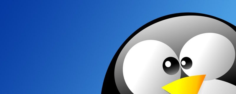 The New Penguin 4.0 Is Here - Everything You Need To Know About It