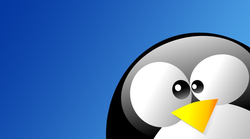 The New Penguin 4.0 Is Here - Everything You Need To Know About It